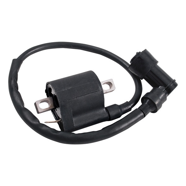 Outside Distributing External Ignition Coil 217121 - 217121