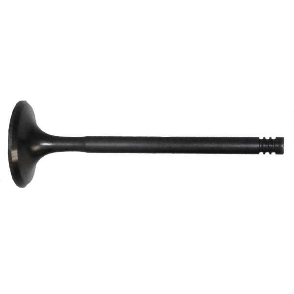 WSM Exhaust Valve - 797391