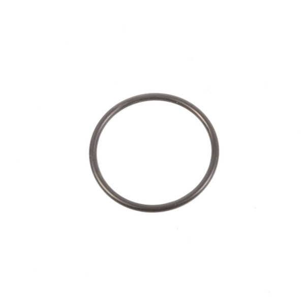 Sierra O-Ring - 726497