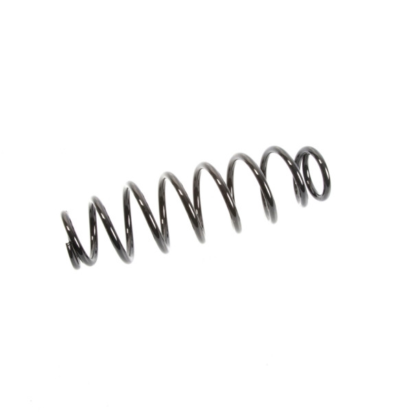 EPI Suspension Spring - 295770