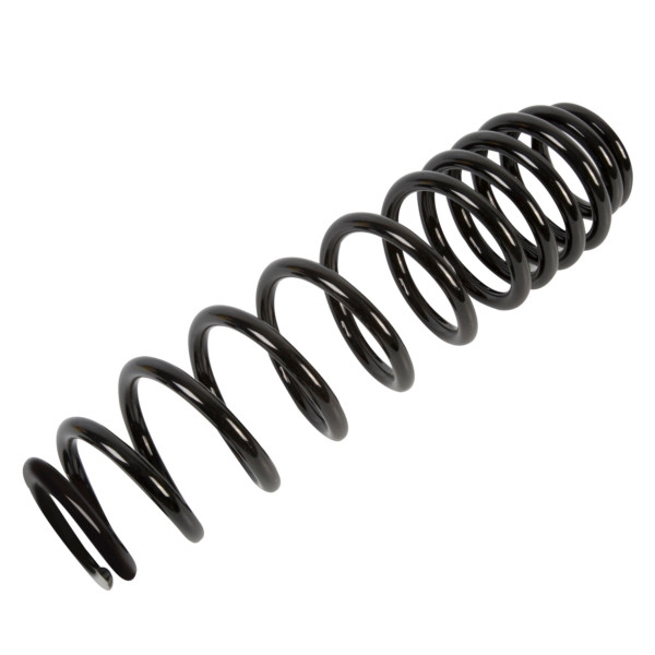 EPI Suspension Spring - 295776