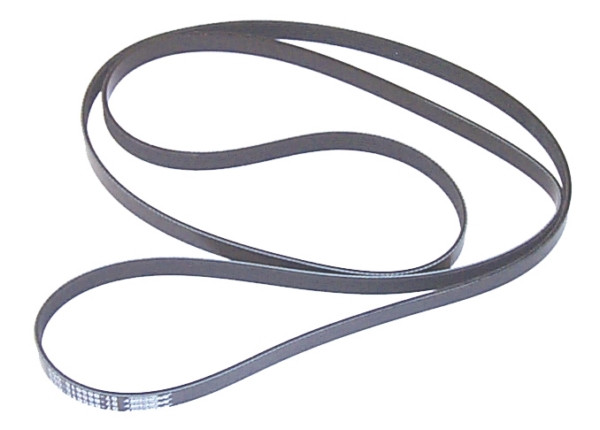 Sierra Marine Belt, Serpentine - 774656