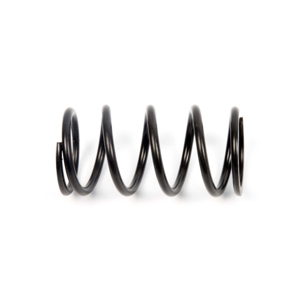 EPI Primary Clutch Spring (Drive) - 279034