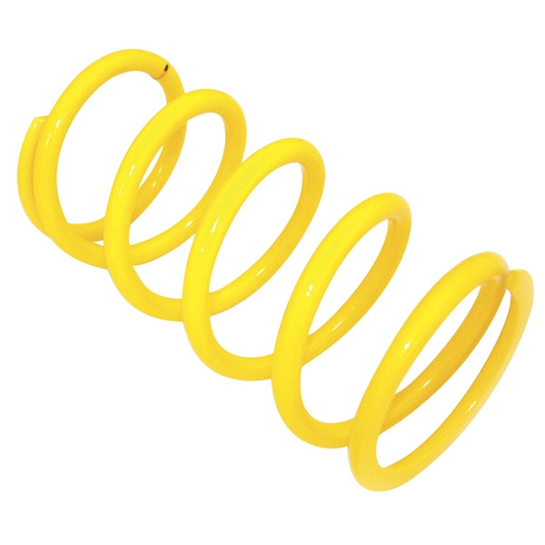 EPI Primary Clutch Spring (Drive) - 279037