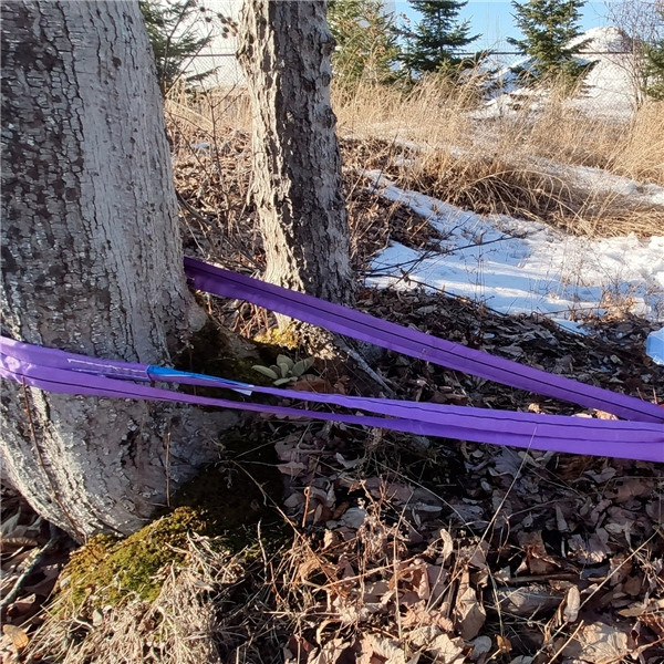 Portable Winch GX50 Gas-Powered Winch with Accessories - 118197