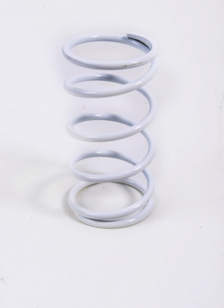 EPI Primary Clutch Spring (Drive) - 294497