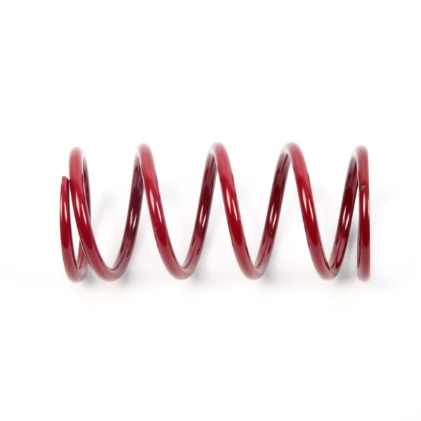 EPI Primary Clutch Spring (Drive) - 279039