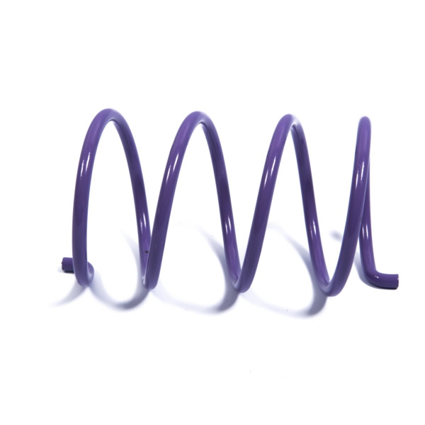 EPI Secondary Clutch Spring (Driven) - 279048