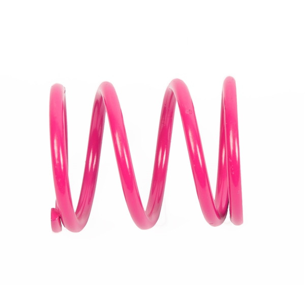 EPI Primary Clutch Spring (Drive) - 294510