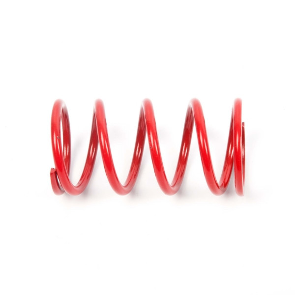 EPI Primary Clutch Spring (Drive) - 279062