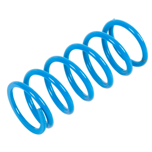 EPI Primary Clutch Spring (Drive) - 279064