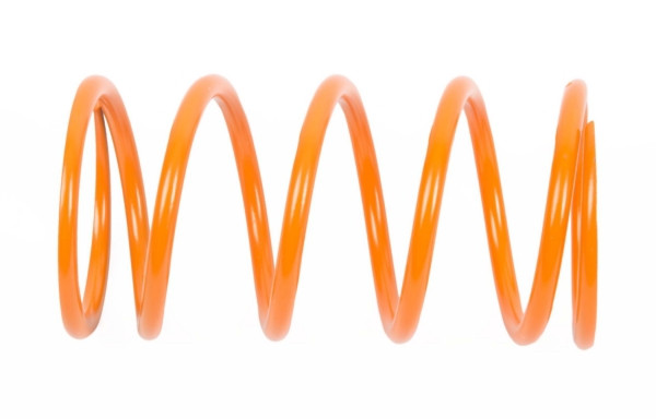 EPI Secondary Clutch Spring (Driven) - 294516