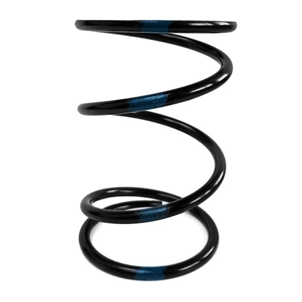 EPI Secondary Clutch Spring (Driven) - 295974