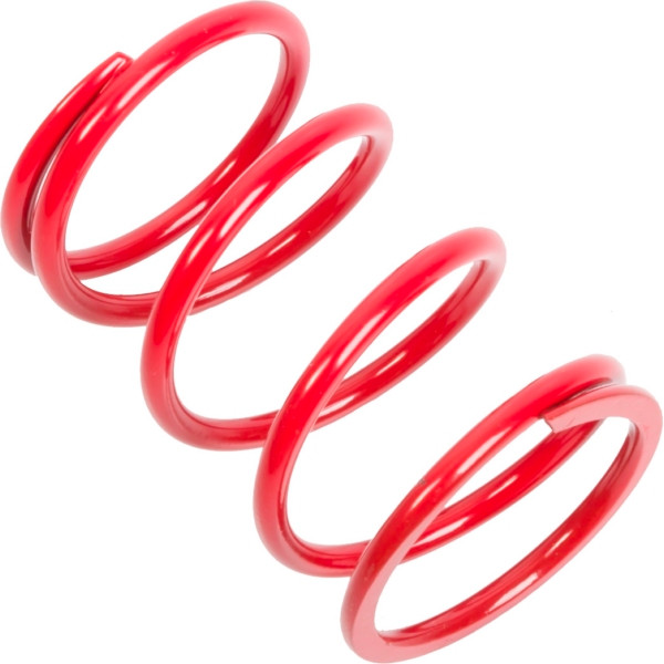 EPI Primary Clutch Spring (Drive) - 294529