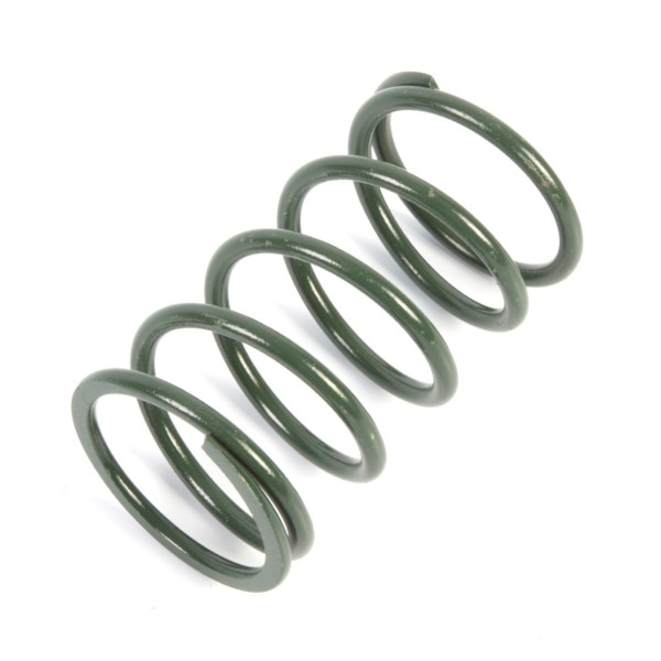 EPI Primary Clutch Spring (Drive) - 294531