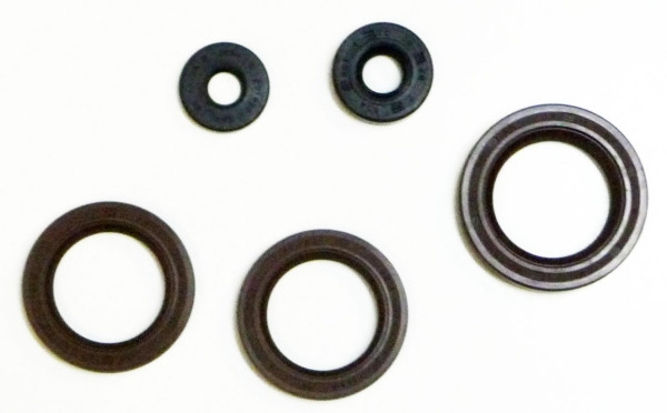 VertexWinderosa Oil Seal Sets Fits Can-am - 159190 - 159190