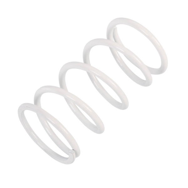 EPI Primary Clutch Spring (Drive) - 294537