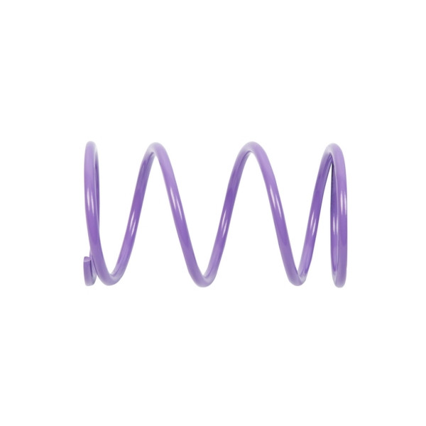 EPI Secondary Clutch Spring (Driven) - 294549