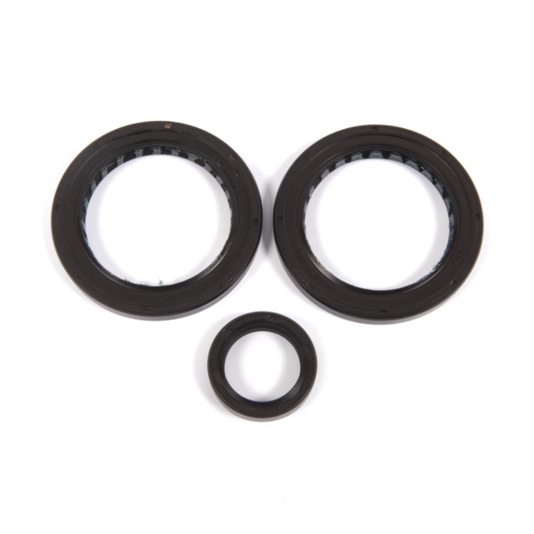 All Balls Differential Seal Kit Fits Polaris - 206888