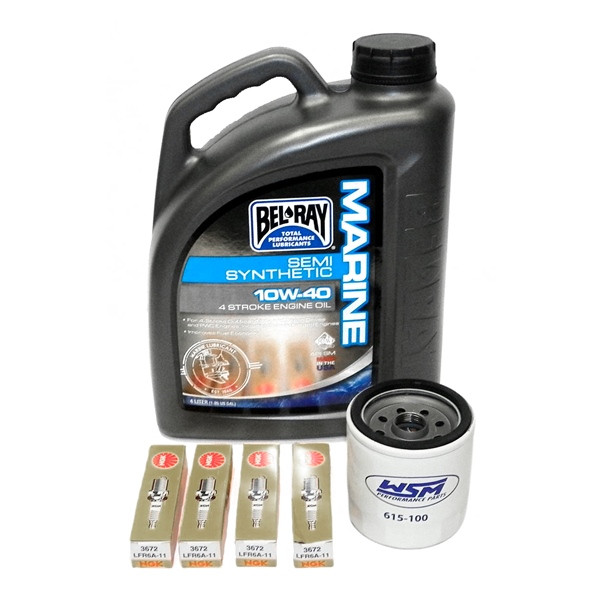 WSM Service Kit - 800272