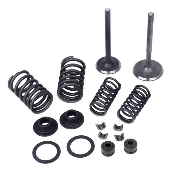 Outside Distributing Valve Kit for Horizontal Motor N/A - 217970