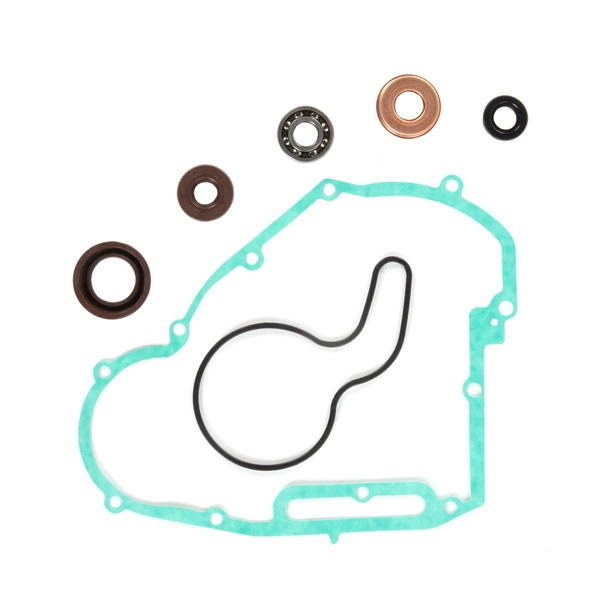 VertexWinderosa Water Pump Repair Kit Fits Polaris - 159269