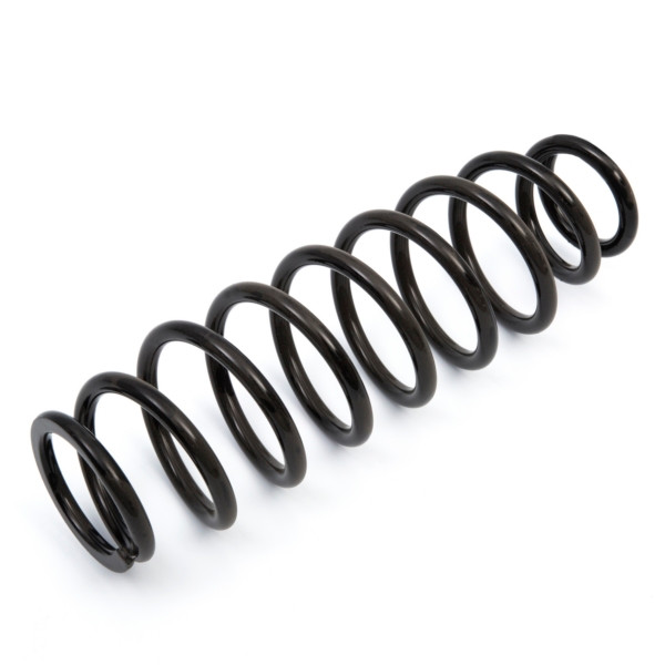 EPI Suspension Spring - 294734