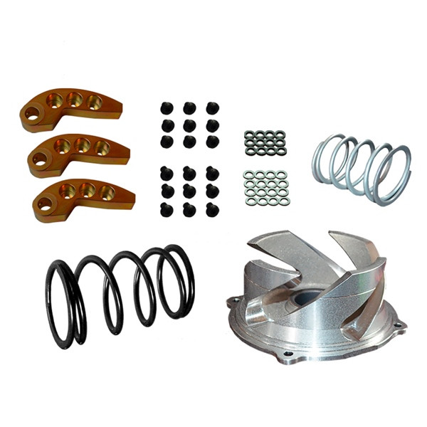 Straightline Clutch Kit with Adjustable Weight Fits Polaris - Steel - 384356