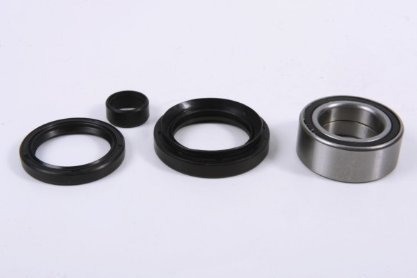 EPI Wheel Bearing & Seal Kit - 295014