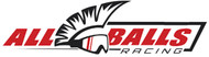 AllBallsRacing