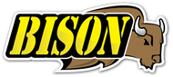 BisonBumpers