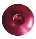KEITI Windscreen Fastener - 024799