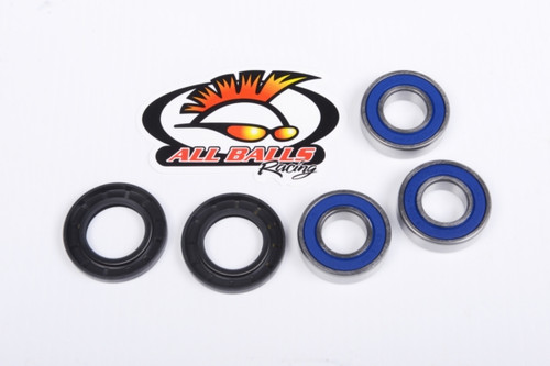 All Balls Wheel Bearing & Seal Kit - 206481