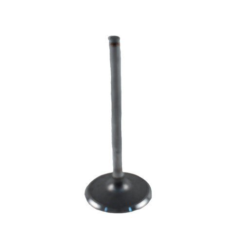 WSM Intake Valve Fits Can-am - 876726