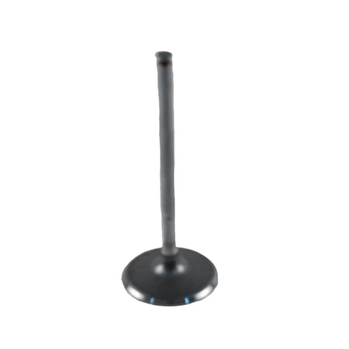 WSM Intake Valve CAN-AM (BRP) - 876726
