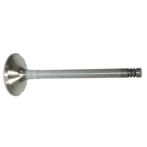 WSM Exhaust Valve - 797392