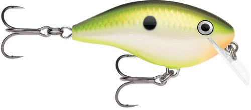 Rapala OG Big Rocco Crankbait, 2.75", 6', Bruised Citrus Shad