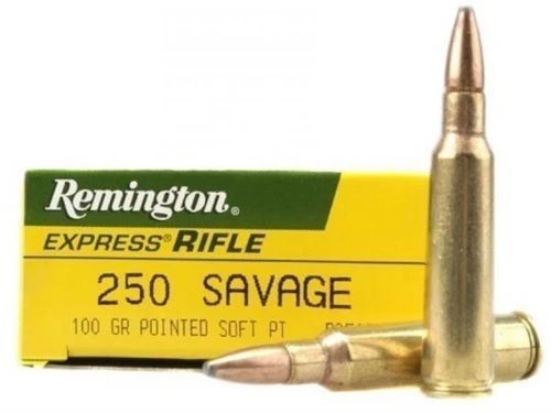 Remington Core-Lokt 250 Savage 100 Grain Pointed Soft Point Ammunition, 20 Rounds