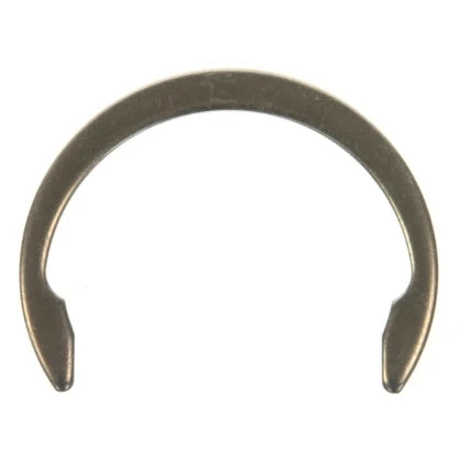 BRP Evinrude Spring Retainer - 809192