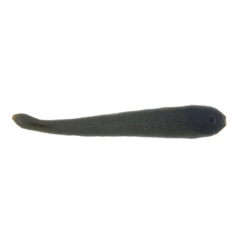 Berkley Gulp Leech, 3" 12Pk, Black Olive