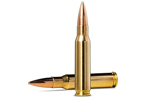 Norma Golden Target 308 Win 175 Gr, 20 Rounds