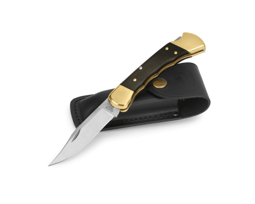 Buck 110 Folding Hunter Knife, 3.75" Blade