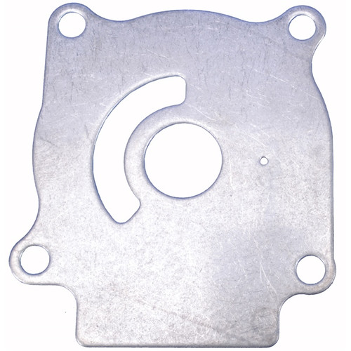 BRP Evinrude Plate - 824223