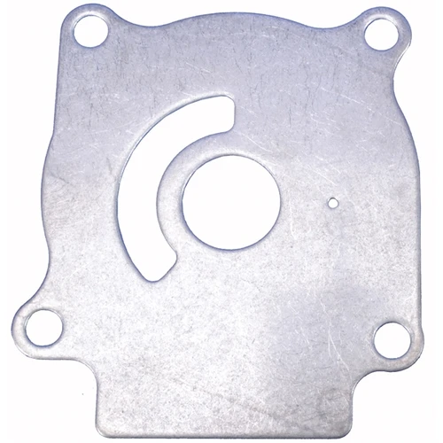 BRP Evinrude Plate - 824223