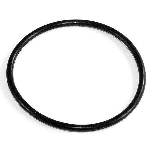 EPI Hub Bearing Gasket - 295376