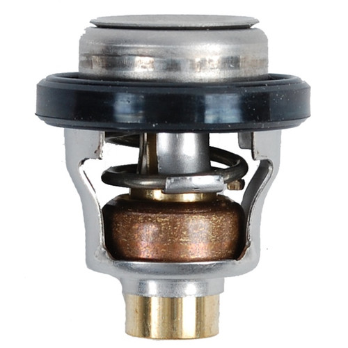 BRP Evinrude Thermosthat 60 - 822136