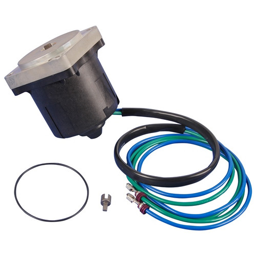 BRP Evinrude Motor and O-Ring - 821756