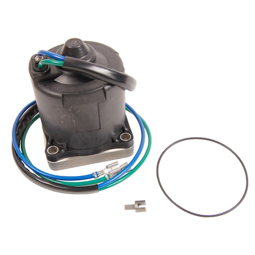 BRP Evinrude Motor and O-Ring - 821758