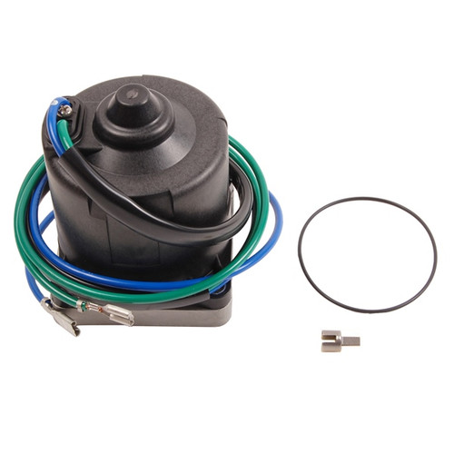 BRP Evinrude Motor and O-Ring - 821759