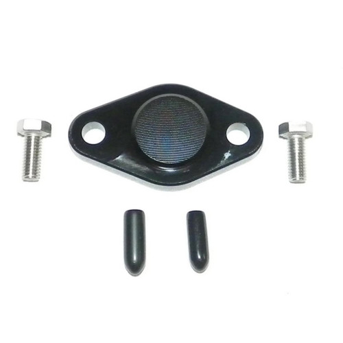WSM Oil Injection Block Off Plate - 798662